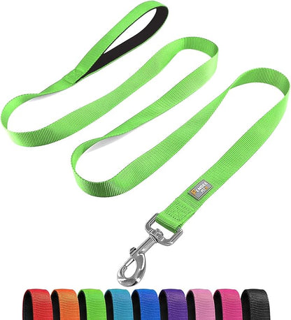 Basic Dog Leashes 6 FT Padded Handle Nylon Dogs Leashes for Large Dogs Green