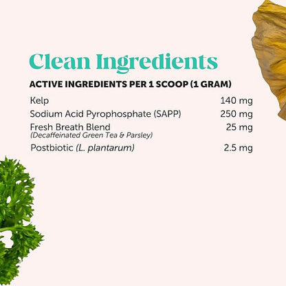 Cat Breath Freshener Dental Health Powder – Reduce Tartar & Plaque, Freshen Breath, and Support Bright Teeth with Natural Herbal Blend with Kelp & Parsley (60 Day Supply)