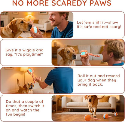 QGI Interactive Dog Toys, Random Path Electric Automatic Moving and Rolling Dogs Toy with Rope for Small Medium Large Dogs, Motion-Activated Dog Stimulation Toy for Boredom Relief (Orange)