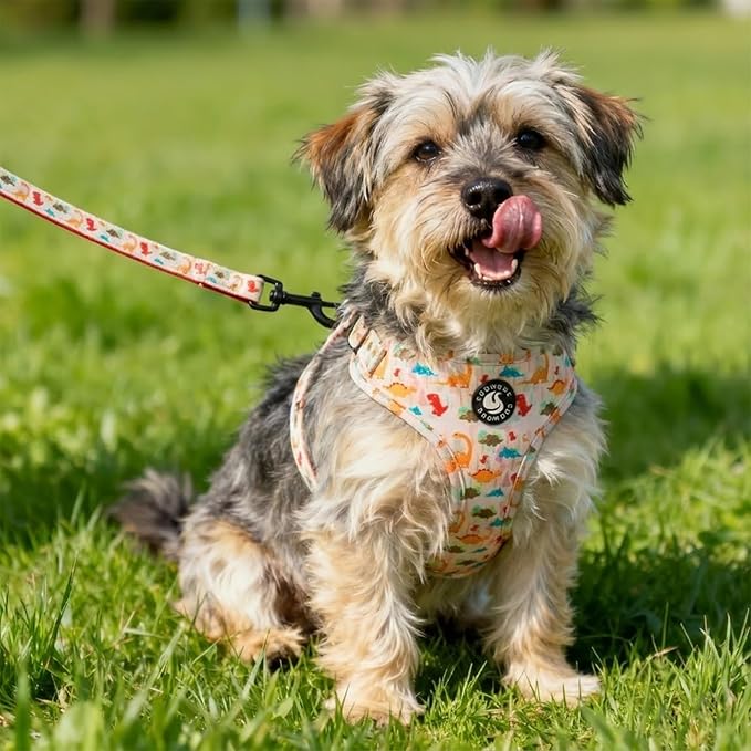Dog Harness and Leash Set, Adjustable Dog Harness, Dog Leash, No Pull No Choke Puppy Harnesses for Walking Training for Small Medium Pet