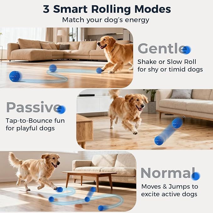 Aquamorph 2 Pack Interactive Dog Balls - Auto Moving Bouncing Vibrating Washable Dog Toys for Large Medium Dogs, Type-C Rechargeable, Blue and Orange, Ripple Pattern