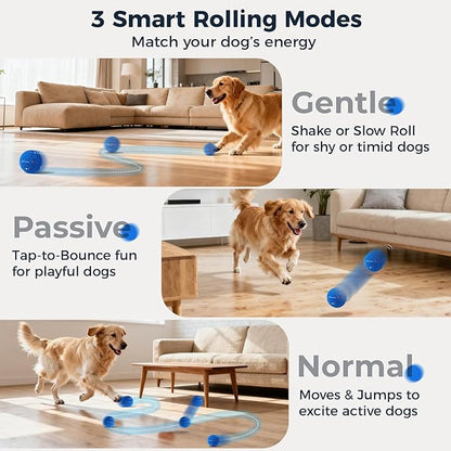 Aquamorph 2 Pack Interactive Dog Balls - Auto Moving Bouncing Vibrating Washable Dog Toys for Large Medium Dogs, Type-C Rechargeable, Blue and Orange, Ripple Pattern