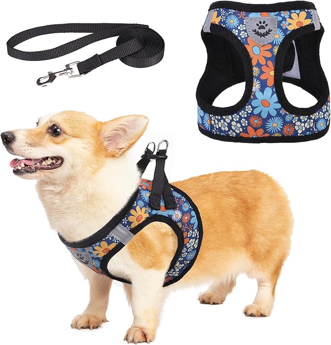 KOOLTAIL Dog Harness and Leash Set for Small Medium Dogs, Step in No Pull Comfort Padded Pet Vest, Adjustable Reflective Easy Walking Puppy Cats Harness Training, Flower Navy M