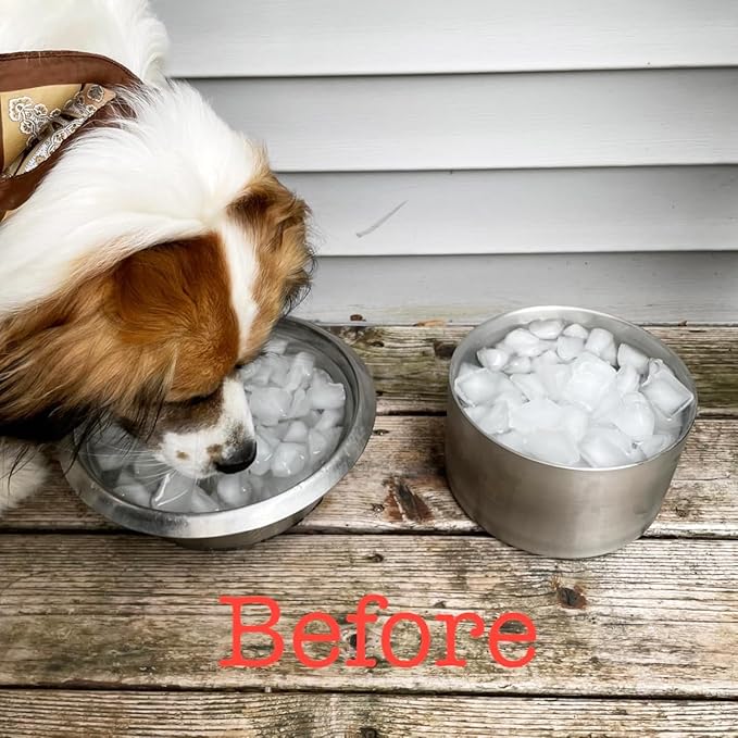 Feedoo 2L Double Layers 304 Stainless Steel Dog Bowl - Insulated & Durable | Non-Slip Base | Easy to Clean | BPA-Free Safe Dog Food and Water Bowl