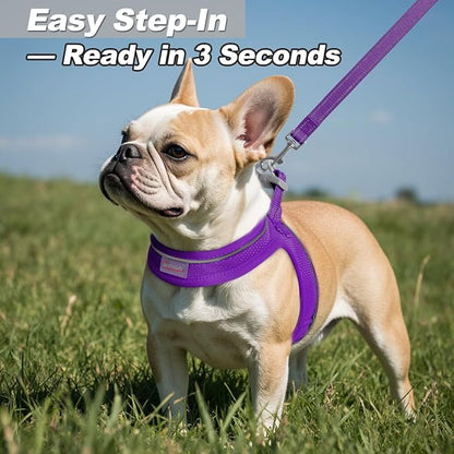 Dog Harness and Leash Set,Step in Small Sized Dog Harness,Soft Mesh,No-Chock,Reflective Adjustable,Secure with Hook & Loop Fastener,Puppy Vest for Small,Medium Dogs(Purple,M)