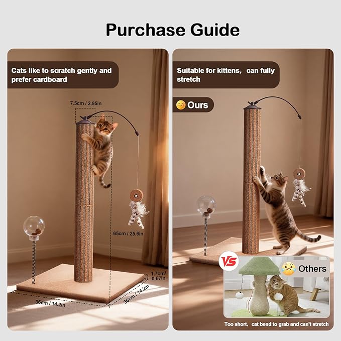 Cat Scratching Post Cork & Cardboard Mix with Heavey Duty Solid Wood Base, Indoor 26" Premium Durable Nature Kitten Scratch Post Tree with Snack Ball & Feather Interactive Toys for Kittens & Adult