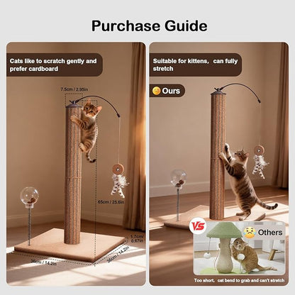 Cat Scratching Post Cork & Cardboard Mix with Heavey Duty Solid Wood Base, Indoor 26" Premium Durable Nature Kitten Scratch Post Tree with Snack Ball & Feather Interactive Toys for Kittens & Adult