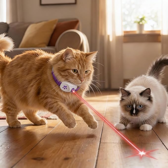 Walfront Cat Toys, Interactive Purple Light-Up Collar, USB Rechargeable, Adjustable 9.1–13.4in, 2 Modes & 41° Angle, Indoor Play for Multiple Cats & Kittens, Fun & Exercise