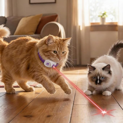 Walfront Cat Toys, Interactive Purple Light-Up Collar, USB Rechargeable, Adjustable 9.1–13.4in, 2 Modes & 41° Angle, Indoor Play for Multiple Cats & Kittens, Fun & Exercise