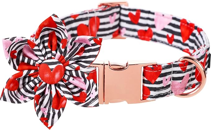 Lionet Paws Valentines Dog Collar with Flower, Dog Flower Collar with Metal Buckle for Dogs, Adjustable Comfortable Dogs Collars Girl, M, Neck 13.5-22 in