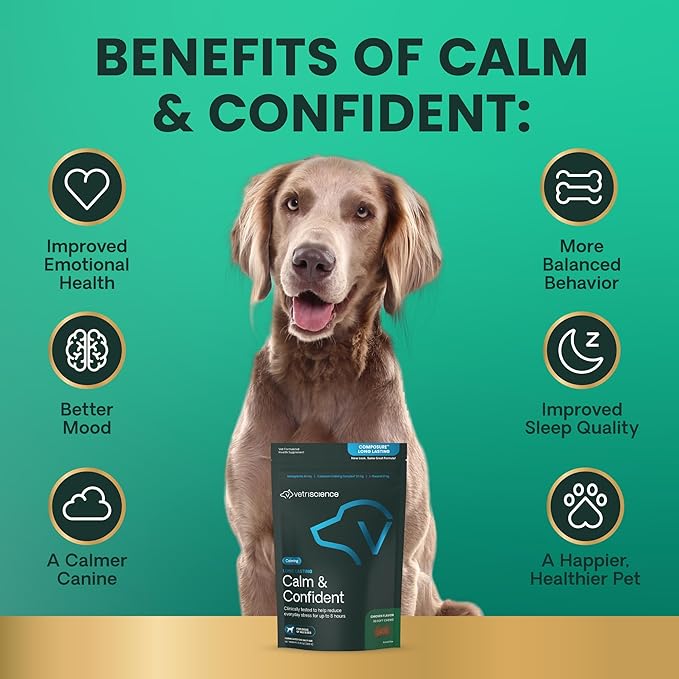 VetriScience Calm & Confident Chews, Composure Clinically Tested Calming and Anxiety Ashwagandha Supplement for Dogs, Stress Relief, Separation Anxiety, Behavior Support, Chicken, 90 Count