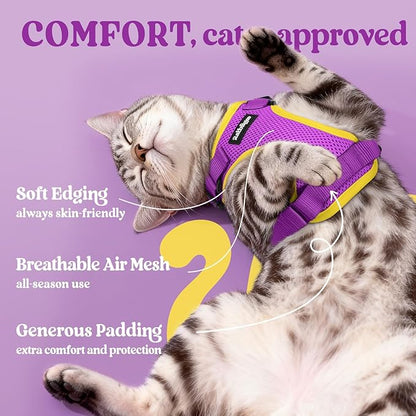 rabbitgoo Cat Harness and Leash for Walking, Escape Proof Soft Adjustable Vest Harnesses for Cats, Easy Control Breathable Reflective Strips Jacket, Purple&Yellow, M