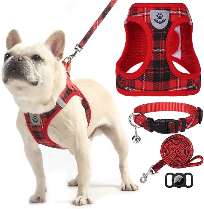EXPAWLORER Classic Plaid Puppy Harness - Small Dog Harness and Leash Set - Dog Collar and Leash Set with AirTag Holder, Soft Padded Step in Dog Vest Harness No Pull Reflective for Outdoor, Red XXS