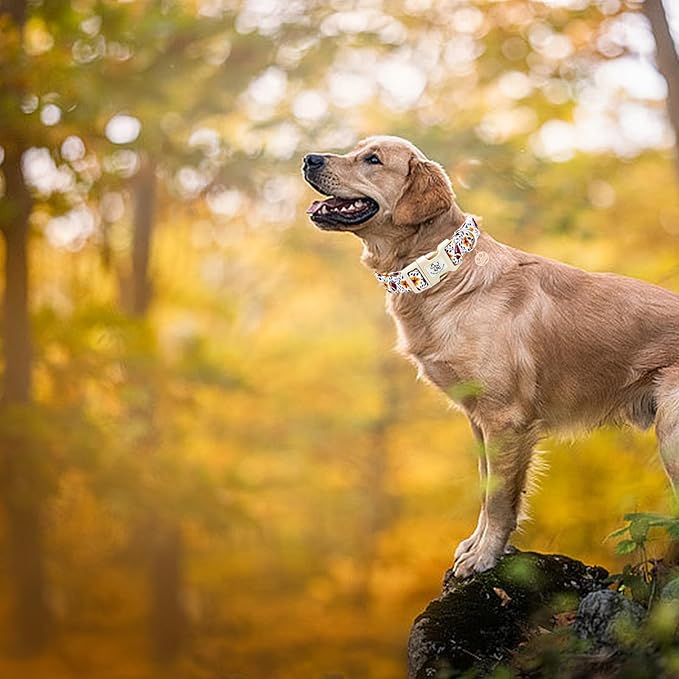 Elegant little tail Fall Dog Collar, Rugby with Flower Print Autumn Pet Collars Dog Cotton Soft Sturdy Puppy Collars Holiday Female Adjustable Collar for Medium Dogs
