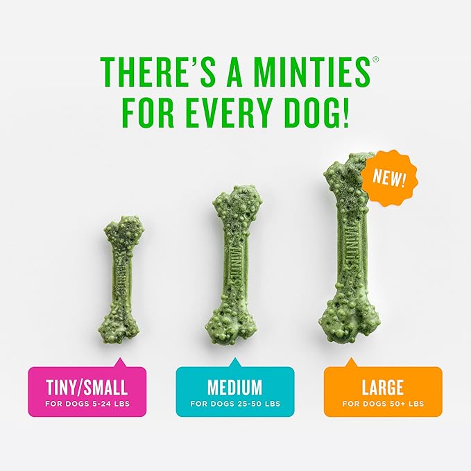 Minties Dog Dental Bone Treats, Tiny/Small Dental Dog Treats, Clean Teeth, Fight Bad Breath, Removes Plaque and Tartar, 80 Count