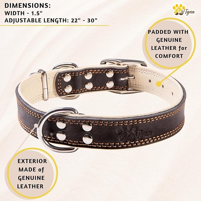 ADITYNA Heavy-Duty Leather Dog Collar for Extra-Large Dogs - Soft Padded for Comfort - Big Black Dog Collar for Walking, Training, and Hiking