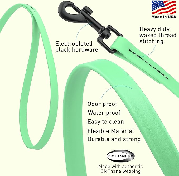 Dogline Biothane Waterproof Dog Leash Strong Coated Nylon Webbing with Black Hardware Odor-Proof Easy to Clean High Performance for Small or Large Dogs Made in USA 4 or 6 ft Lead, Sea Foam Green