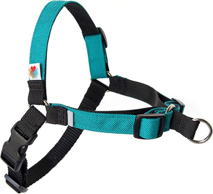 Wildebeest No Pull Dog Harness | Comfortable Training Harnesses | Effective No Pull Harness Design | Ideal for Small Dog and Puppy | 4-Point Adjustable (S -18~24 inch Girth, Turquoise)