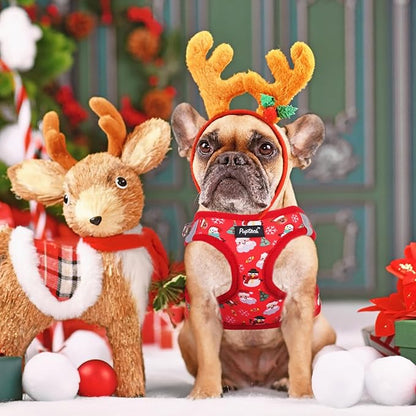 PUPTECK Dog Harness and Leash Set for Small Medium Dogs No Pull Step-in Soft Mesh Puppy Cat Vest Harnesses Reflective at Night, Christmas, M