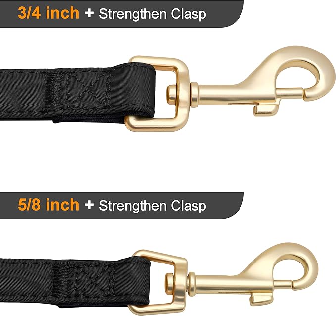 Didog 5FT Colorful Nylon Dog Leash with Soft Full-Length Padding, Lightweight and Durable Pet Leash for Medium and Large Dogs, Black, M