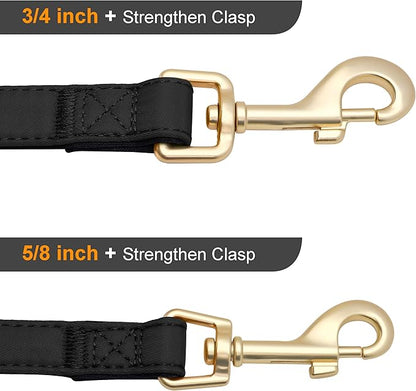 Didog 5FT Colorful Nylon Dog Leash with Soft Full-Length Padding, Lightweight and Durable Pet Leash for Small Dogs, Black, S