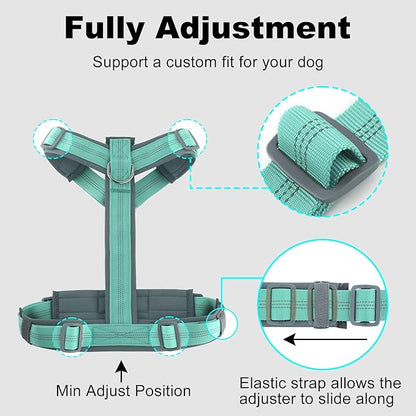 Plutus Pet No Pull Dog Harness, Adjustable Nylon Harness with Soft Padding, Reflective and Heavy Duty Dog Harness for Small, Medium, Large Dogs(Teal, M)
