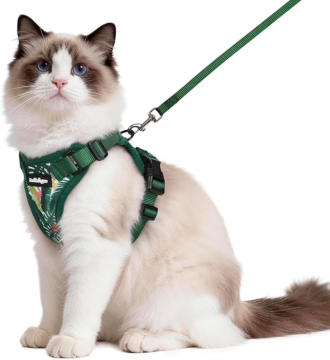 rabbitgoo Cat Harness and Leash for Walking, Escape Proof Soft Adjustable Vest Harnesses for Cats, Easy Control Breathable Reflective Strips Jacket,Rainforest Green,M