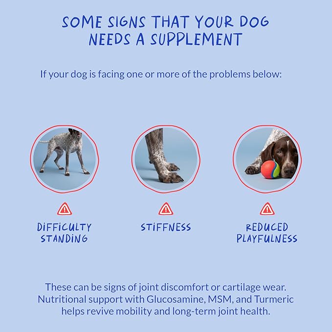 Hip and Joint Supplement for Dogs - with Collagen, Glucosamine for Dogs - Fish Oil - Hip & Joint Support, Ease Inflammation, Antioxidant.