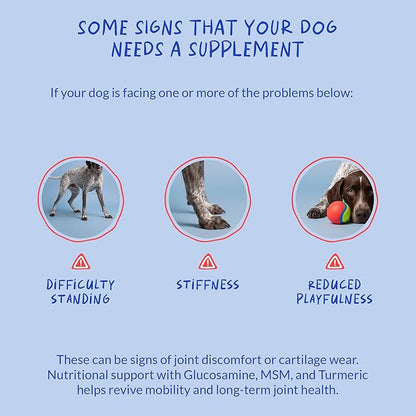 Hip and Joint Supplement for Dogs - with Collagen, Glucosamine for Dogs - Fish Oil - Hip & Joint Support, Ease Inflammation, Antioxidant.