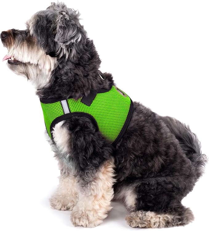 THE WORTHY DOG Step-in Dog Harness for Large Dogs, Comfortable Mesh, Reflective, Strong Hook and Loop Closure, Quick Release Buckle, Lime Green, XX-Large