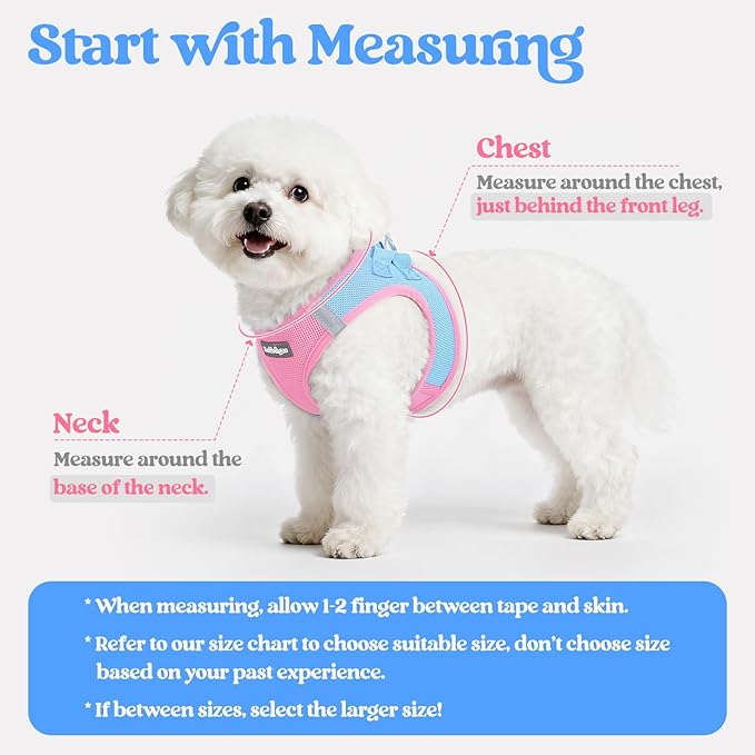 rabbitgoo Dog Harness Small Sized and Leash Set, Step in Soft Light Puppy Vest, Breathable Mesh Pet Harness, Reflective for Safe Easy Walking, Blue & Light Pink S