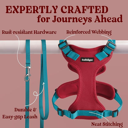 rabbitgoo Cat Harness and Leash for Walking, Escape Proof Soft Adjustable Vest Harnesses for Cats, Easy Control Breathable Reflective Strips Jacket, Red & Teal, S