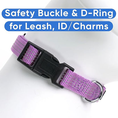 Pawtitas Reflective Purple Orchid Puppy or Dog Collar, Medium