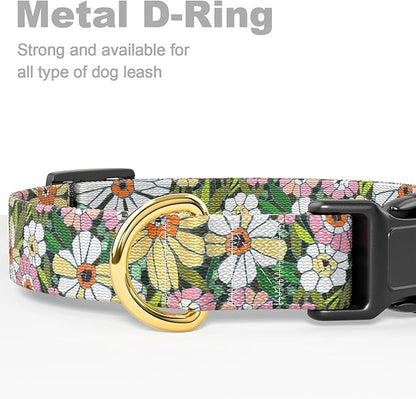 Rnivvi Dog Collar for Medium Dogs, Cute Floral Heavy Duty Adjustable Puppy Collar with Quick Release Buckle for Girl & Female, Pet Accessories for Walking Running, M Length 1" Width, Abstract Flowers