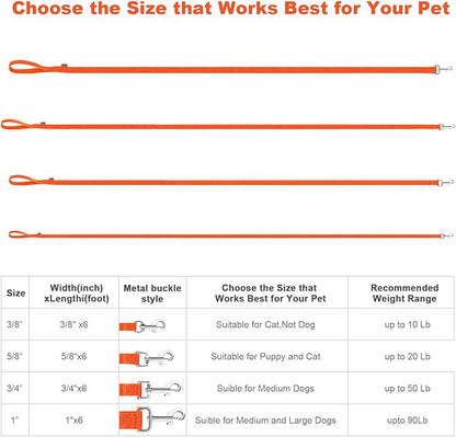 AMAGOOD 6 FT Puppy/Dog Leashes, Traditional Style Leash with Easy to Use Collar Hook, Great for Small, Medium and Large Dogs (1 in x 6 ft, Orange)