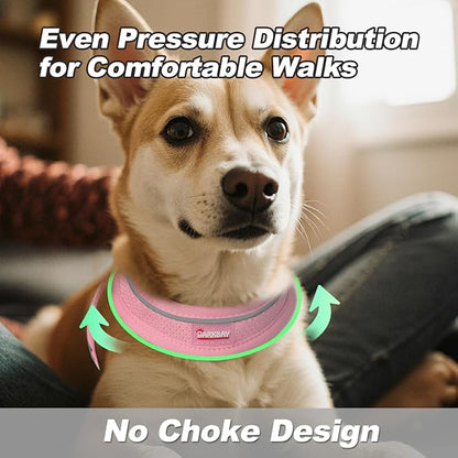 Dog Harness and Leash Set,Step in Small Sized Dog Harness,Soft Mesh,No-Chock,Reflective Adjustable,Secure with Hook & Loop Fastener,Puppy Vest for Small,Medium Dogs(Baby Pink,L)