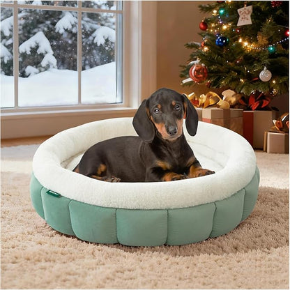 BALANCE Cat Beds for Indoor Cats, Washable Round Dog Bed, Donut Dog Bed with Anti-Slip Bottom for Small Dogs, 28 Inches, Granite Green