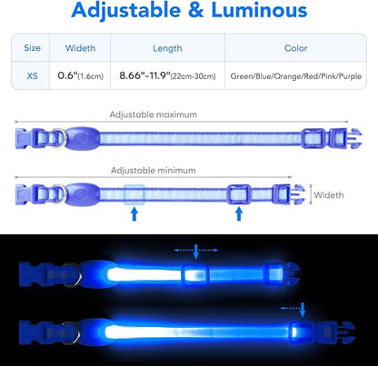 Light up Collar for Small Dog,Vizpet XS Adjustable Size Nylon Collar USB Rechargeable Bright Safety Pet Collar for Cats Small Dogs (Blue, X-Small[ 8.66-11.9 inch/22cm-30cm])