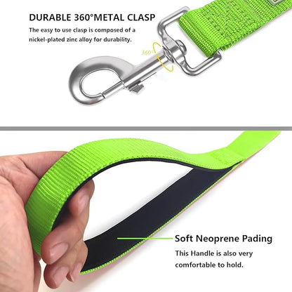 Basic Dog Leashes 6 FT Padded Handle Nylon Dogs Leashes for Medium Dogs Green