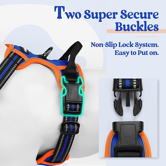 rabbitgoo Dog Harness No Pull with 2 Leash Clips, Adjustable Soft Padded, Reflective Oxford No Choke Pet Vest with Easy Control Handle for Large Dogs, Blue & Orange, L