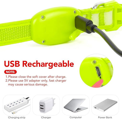 Light up Collar for Small Dog,Vizpet XS Adjustable Size Nylon Collar USB Rechargeable Bright Safety Pet Collar for Cats Small Dogs (Green, X-Small[ 8.66-11.9 inch/22cm-30cm])