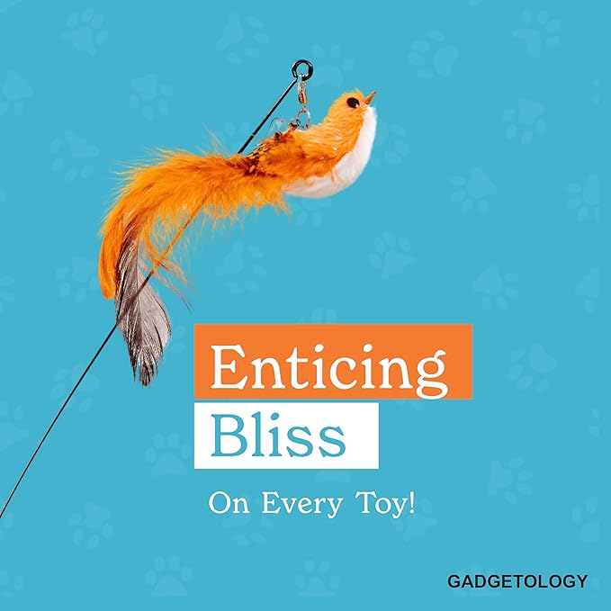GADGETSOLOGY Interactive Bird Simulation Cat Toy Set for Bored Indoor Adult Cats Feather Toy Wand 5 Pcs Natural Bird Feathers Stable Round Base Wand Cat Toys for Indoor Cats Hunting Toys