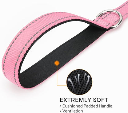 Joytale Double-Sided Reflective Dog Leash, 4 FT, Padded Handle Nylon Heavy Duty Leashes for Medium & Large Dogs Walking, Pink