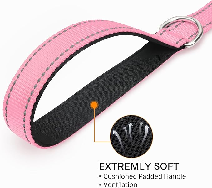 Joytale Double-Sided Reflective Dog Leash, 6 FT/5 FT/4 FT, Padded Handle Nylon Heavy Duty Leashes for Small & Medium Dogs Walking, Pink, 5FT