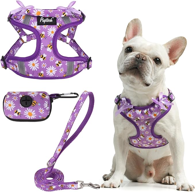 PUPTECK Dog Harness and Leash Set Medium Sized, Step in No Pull Adjustable Puppy Cat Harness Reflective Pet Vest