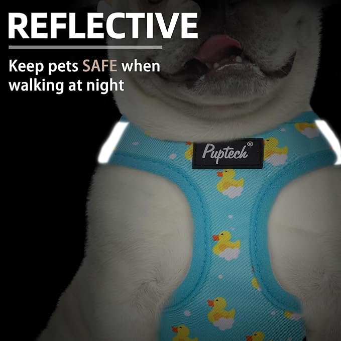 PUPTECK Dog Harness and Leash Set for Small Medium Dogs No Pull Step-in Soft Mesh Puppy Cat Vest Harnesses Reflective at Night, Blue Duck, M