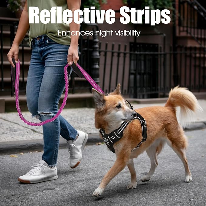 BUMBIN 6Ft Dog Leash Large Dogs, Bungee Dog Leash with 2 Handles, Heavy Duty Leashes for Medium Small Dogs, No Pull Shock Absorbing，with Car Seat Belt for Training, Pink