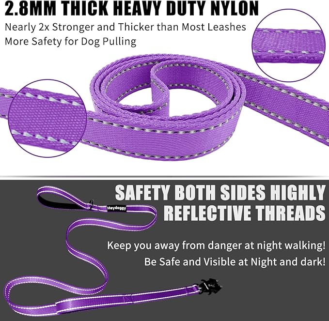 Strong Heavy Duty Dog Leash - 6ft Reflective Nylon Training Leash with Soft Padded Double Handle & Auto Lock Frog Clip, Safety Traffic Control for Large Medium Small Dogs No Pull Walking Purple,6ft
