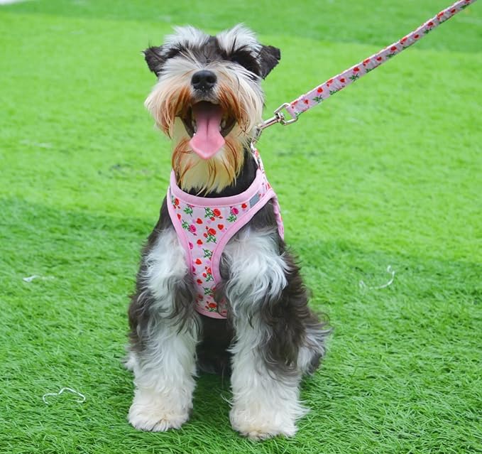 Moonpet Step in Valentine's Day Dog Harness Leash Set- All Weather Reflective No-Pull Floral Pattern Padded Mesh Vest Harness for Cats Puppy Extra-Small Small Medium Large Dogs - Heart Rose - XS