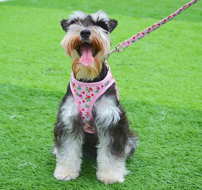 Moonpet Step in Valentine's Day Dog Harness Leash Set- All Weather Reflective No-Pull Floral Pattern Padded Mesh Vest Harness for Cats Puppy Extra-Small Small Medium Large Dogs - Heart Rose - XS